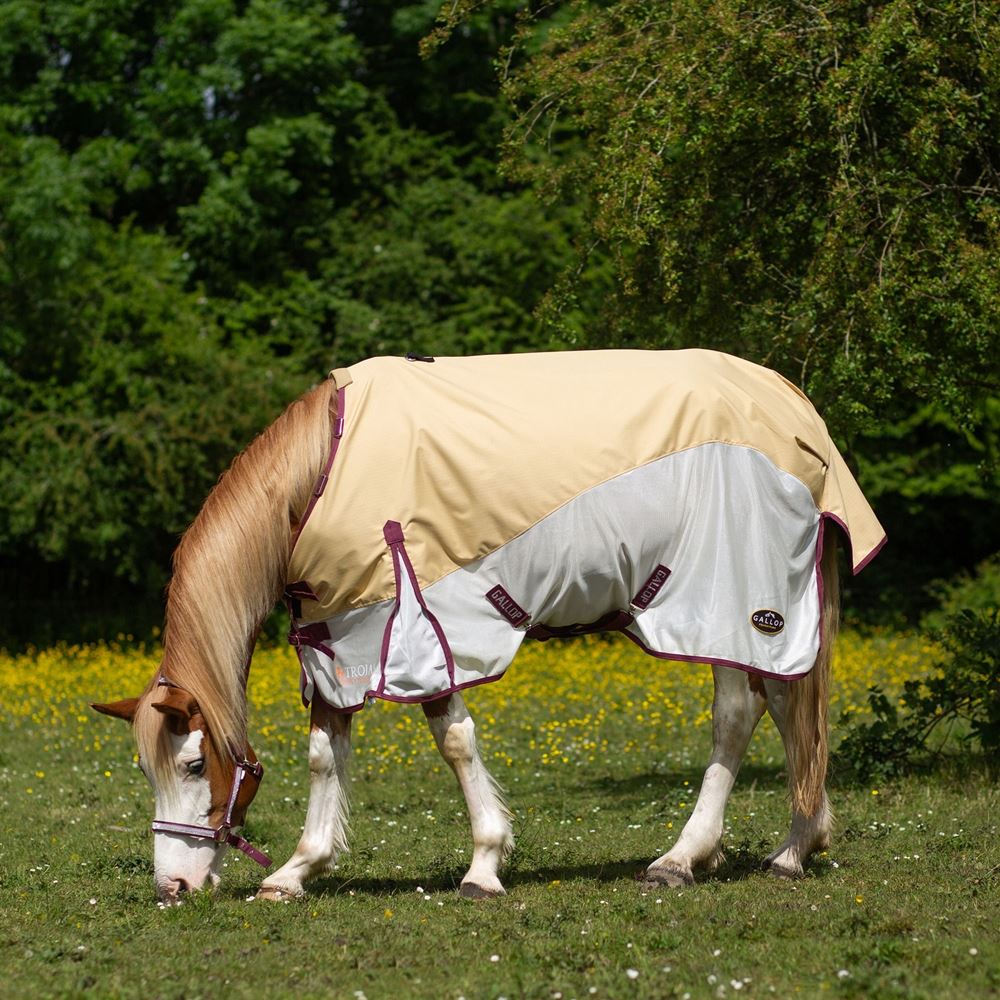 Gallop Dual 5-Point Hybrid Turnout Fly Rug (Beige/White with Burgundy binding)
