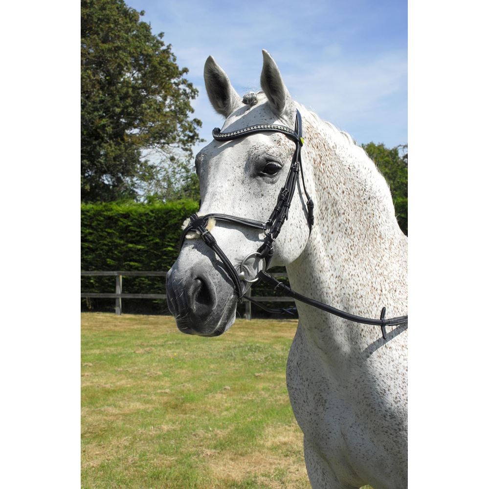 Rhinegold Italian Leather Anatomical Bridle With Mexican Noseband