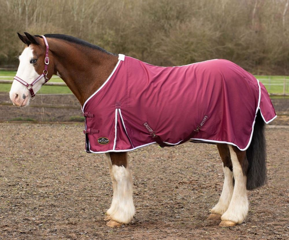 Gallop Summer Sheet (Burgundy)