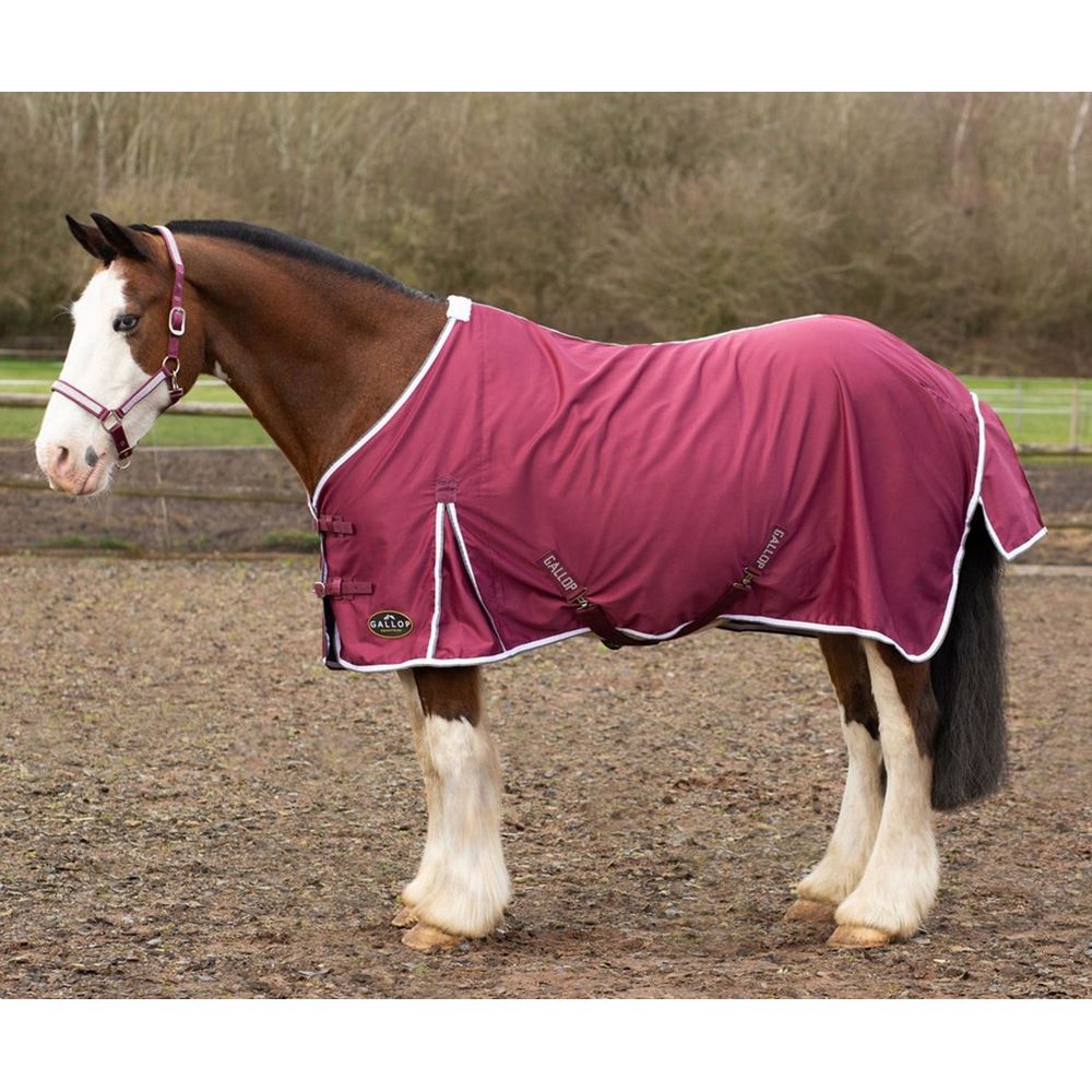 Gallop Summer Sheet (Burgundy)