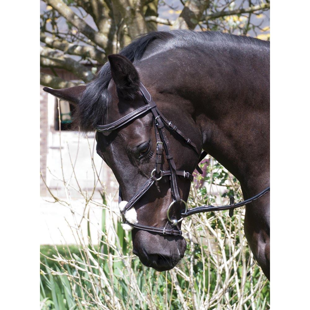 Rhinegold Elegance German Leather Bridle With Mexican Style Noseband