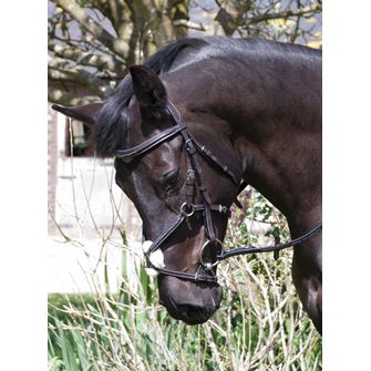 Rhinegold Elegance German Leather Bridle With Mexican Style Noseband