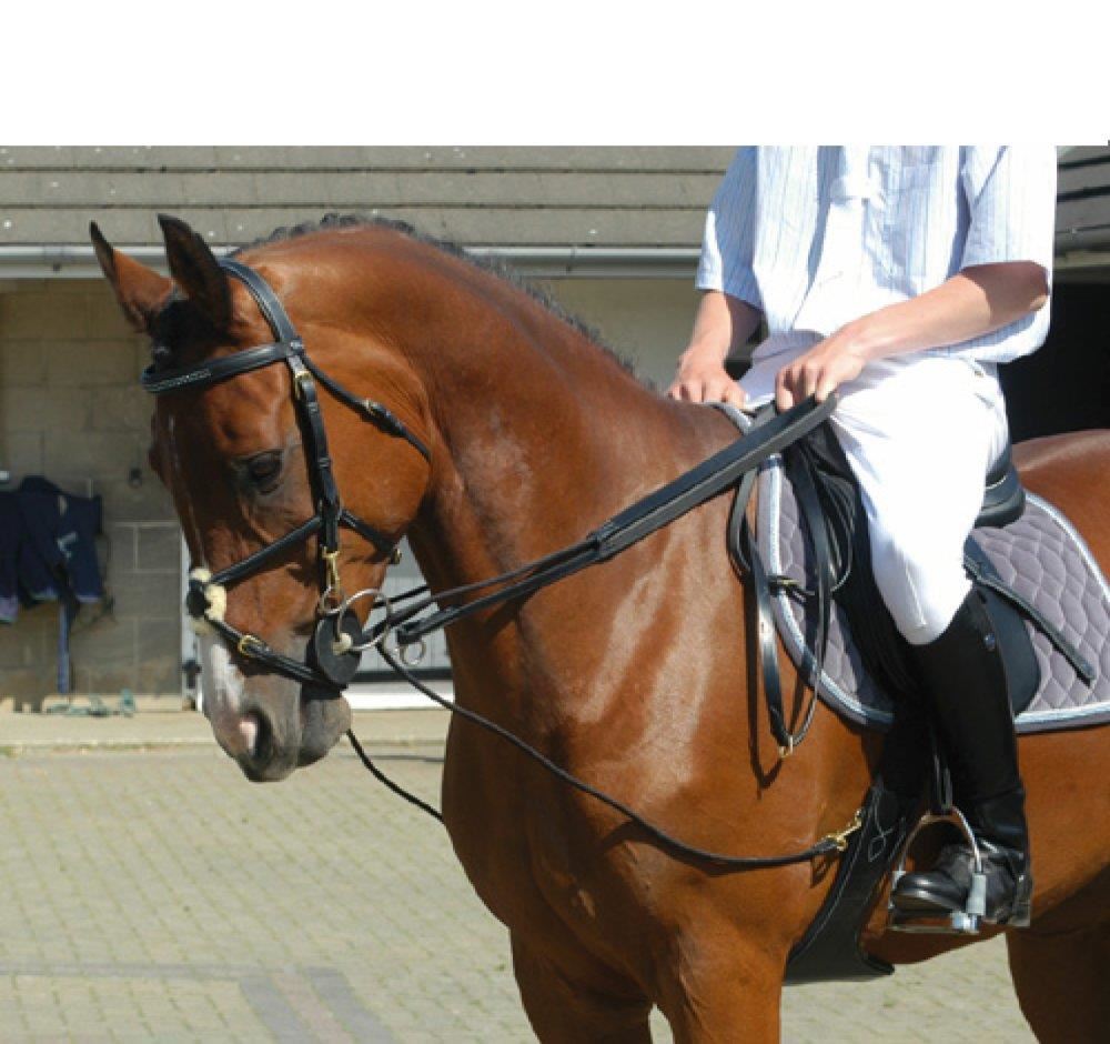 John Whitaker Rope Draw Reins