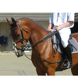 John Whitaker Rope Draw Reins