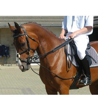 John Whitaker Rope Draw Reins *Clearance*