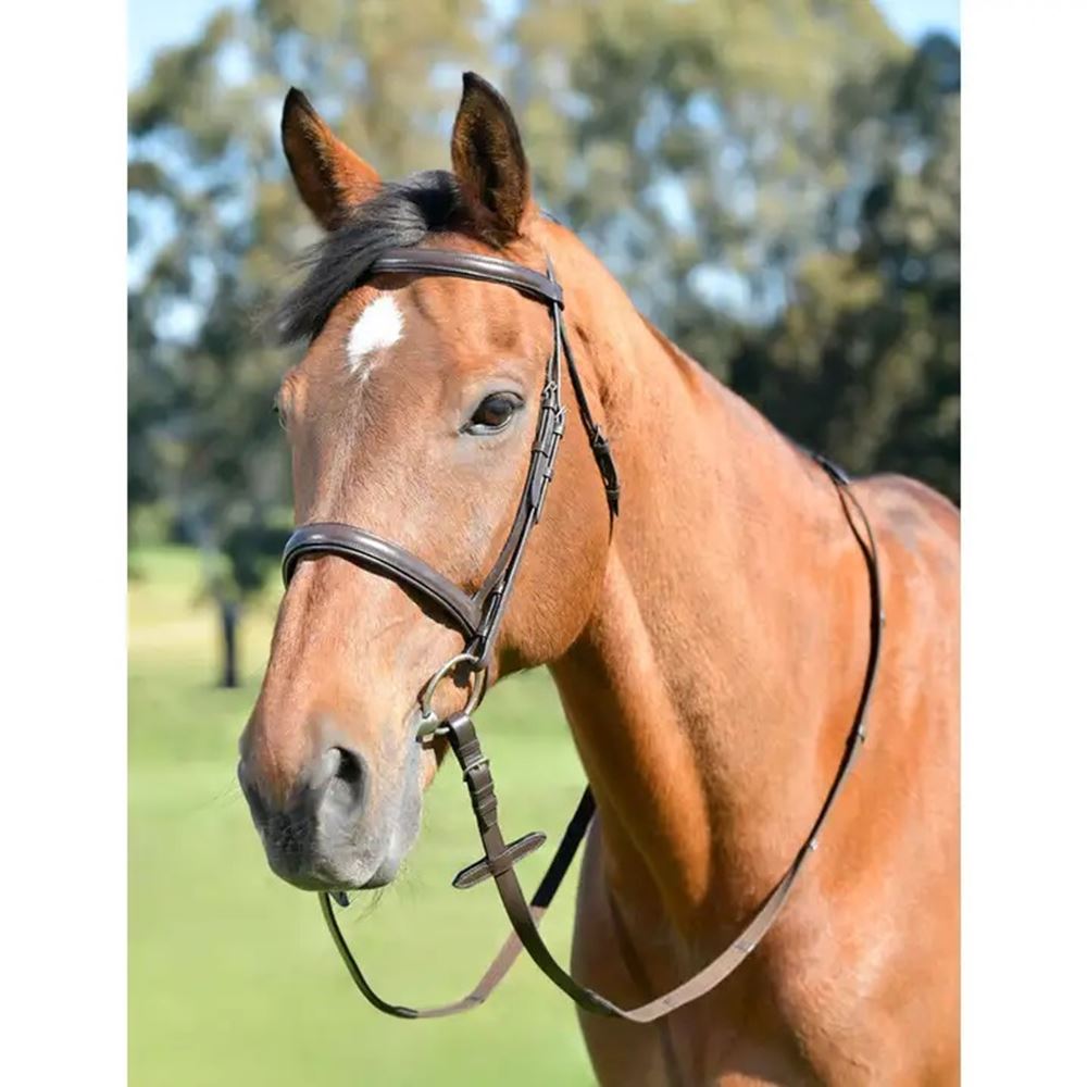 Kincade Classic Plain Raised Cavesson Bridle with Reins (Brown)