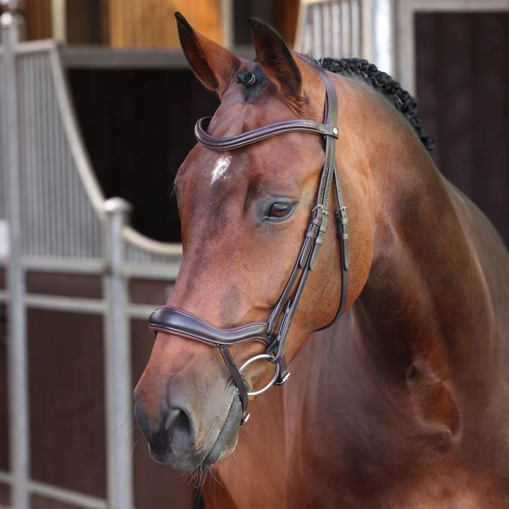 Shires Velociti LUSSO Elite Ergonomic Flash Bridle (Havana)
