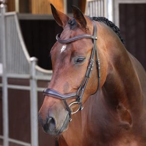 Shires Velociti LUSSO Elite Ergonomic Flash Bridle (Havana)