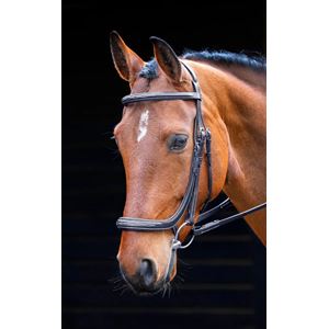 Shires Salisbury Berkeley Bridle (Black)