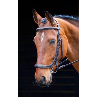 Shires Salisbury Berkeley Bridle (Black)