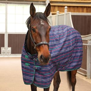 Shires Tempest Plus 100 Stable Rug (Navy Tartan)