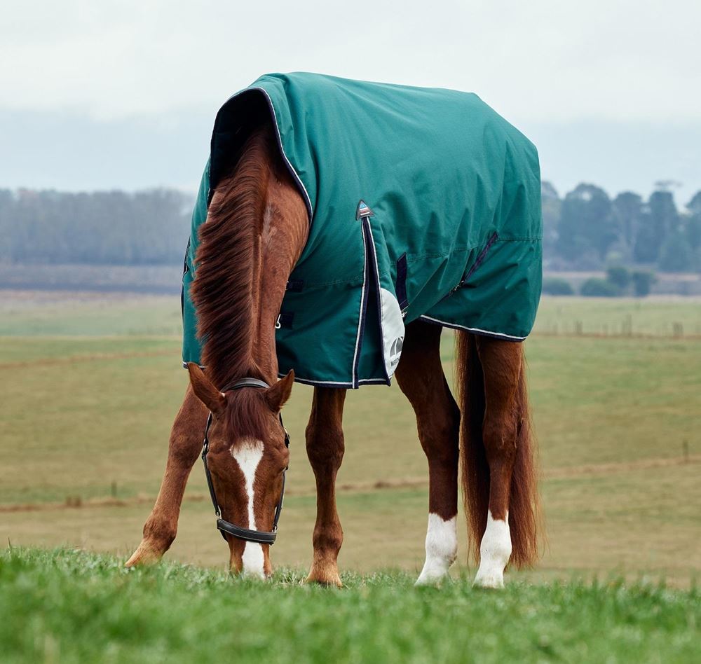 Weatherbeeta Comfitec Plus Dynamic Turnout High Neck - 220g (Forest Green/Navy)