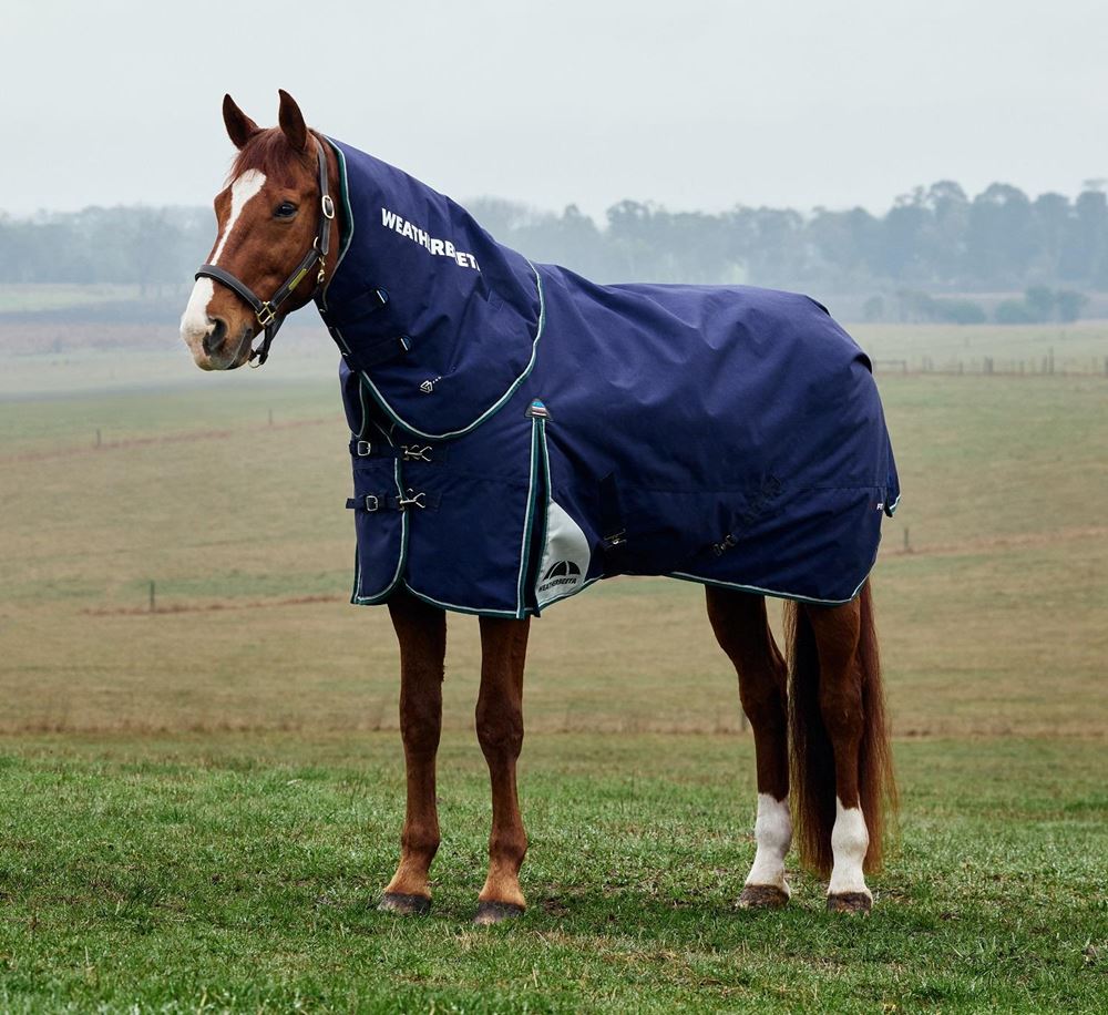 Weatherbeeta Comfitec Plus Dynamic Turnout Detach-A-Neck - 100g (Navy/Forest Green)