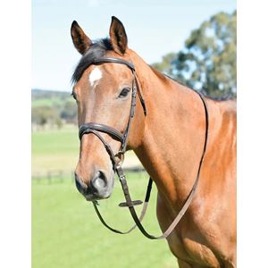 Kincade Classic Plain Raised Flash Bridle with Reins (Brown)