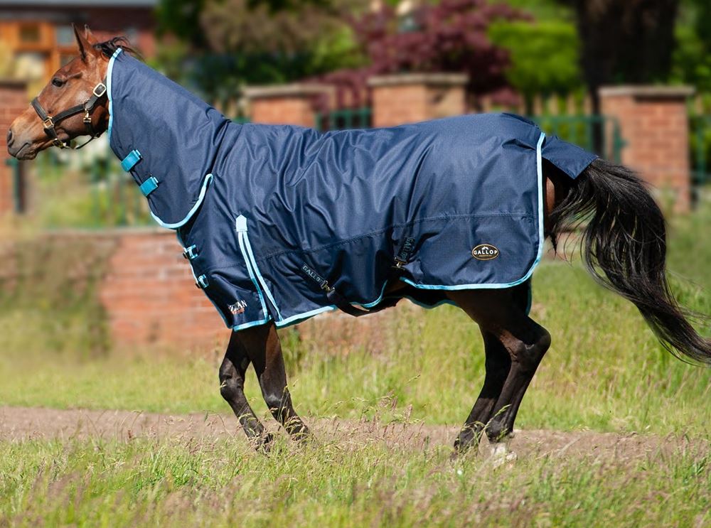 Gallop Trojan 350 Combo Turnout (Navy/Sky)