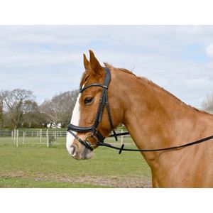 Windsor Anatomical Flash Bridle