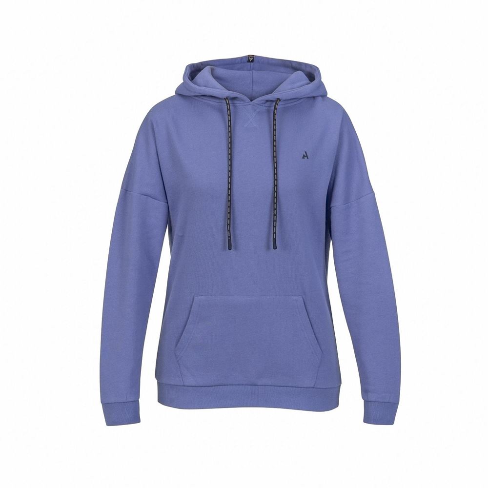 Shires Aubrion React Unisex Hoodie (Sky)