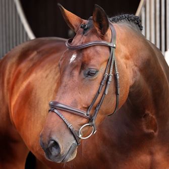 Shires Velociti LUSSO Elite Padded Raised Flash Bridle (Havana)