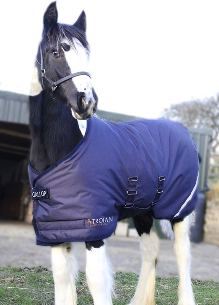 Gallop Trojan 200 Flexi-Foal Turnout (Navy)