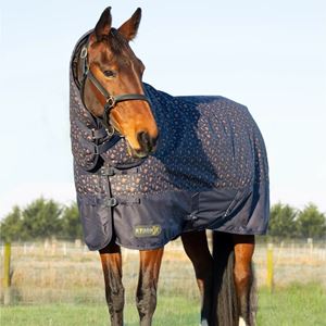 Hy Equestrian StormX Original Country 200 Combi Turnout Rug (Navy)