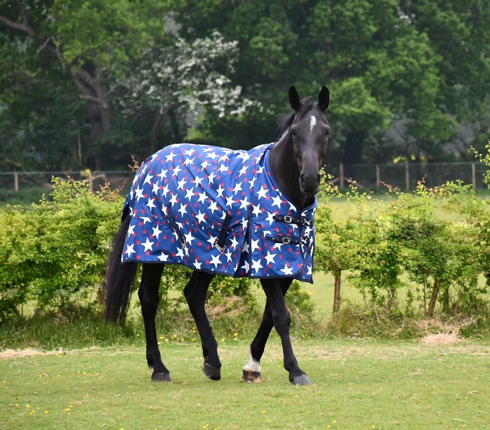 Rhinegold Star Design Torrent Outdoor Rug - 0g