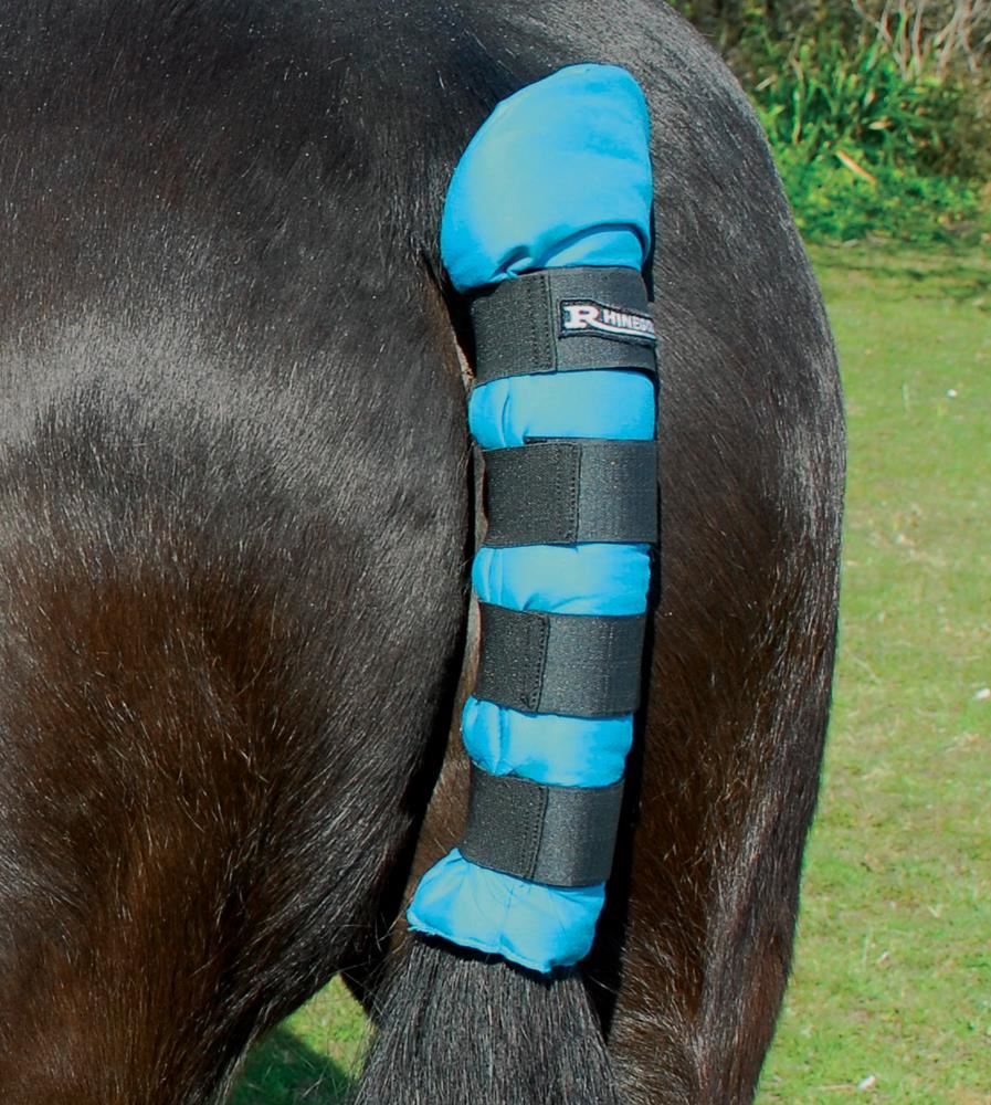 Rhinegold Cotton Quilted Tailguard (Turquoise)