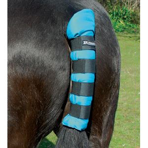 Rhinegold Cotton Quilted Tailguard (Turquoise)