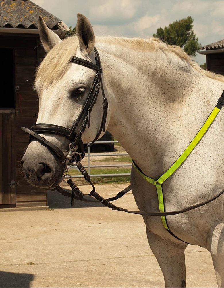 Harlequin Reflective Martingale (Reflective Yellow)