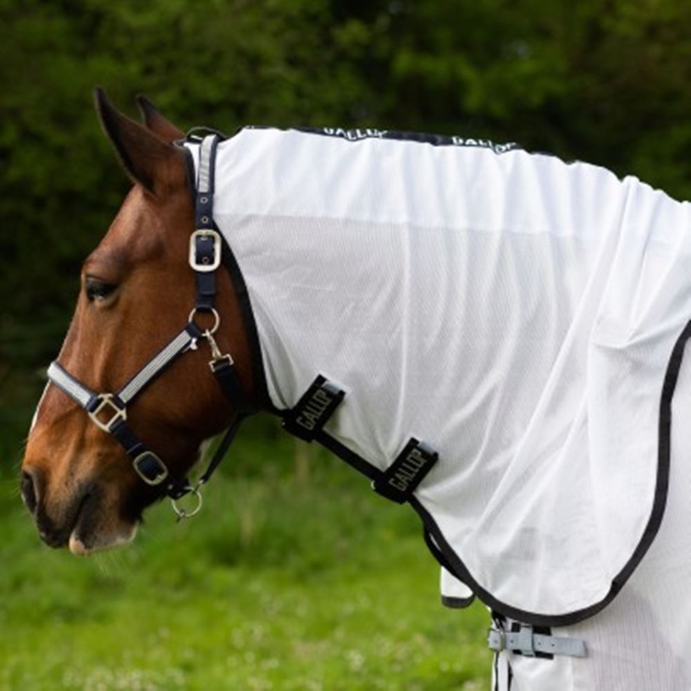 Gallop Dual Fly Rug
