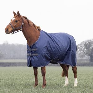 Shires Typhoon Lite Turnout Rug (Navy)
