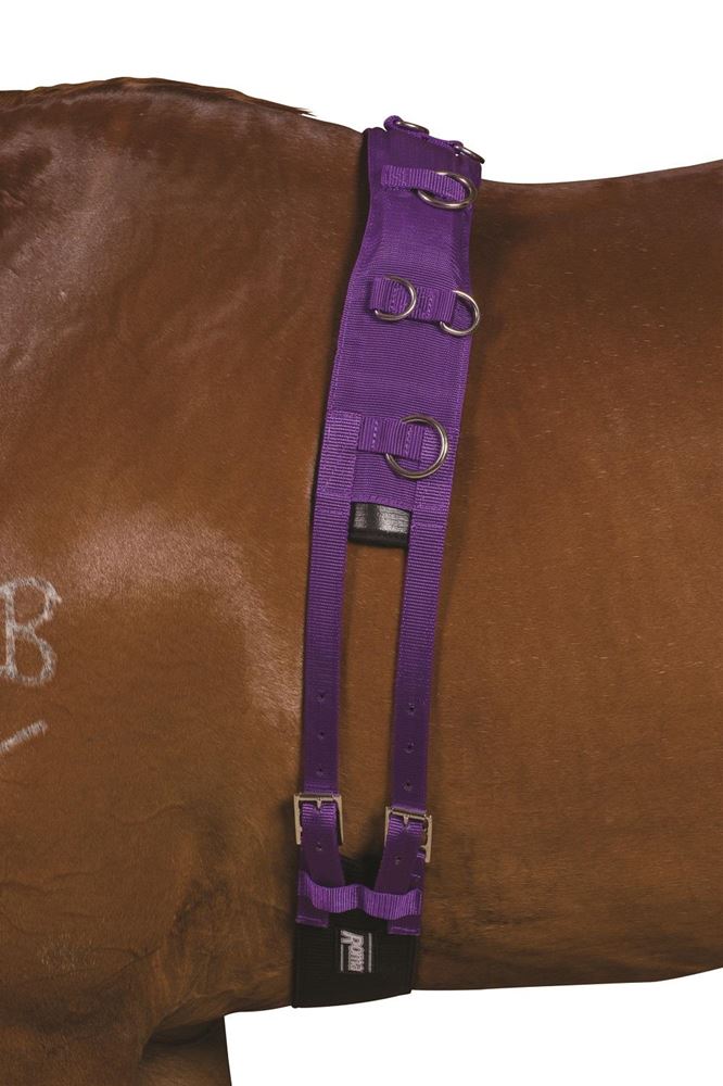 Kincade Deluxe Equigrip Lunge Roller 