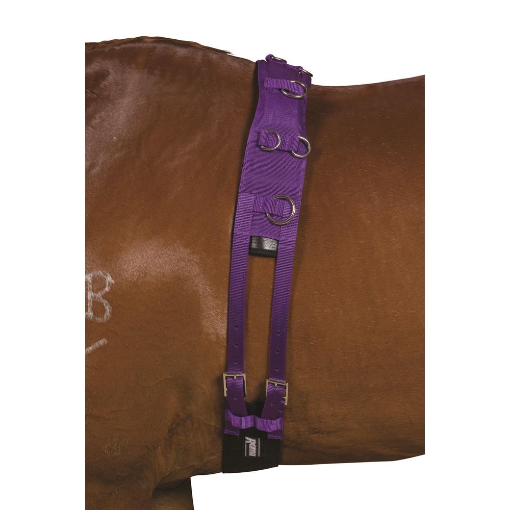 Kincade Deluxe Equigrip Lunge Roller 