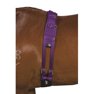 Kincade Deluxe Equigrip Lunge Roller 