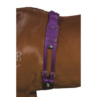 Kincade Deluxe Equigrip Lunge Roller