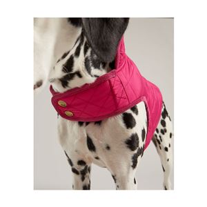 Joules Quilted Dog Coat