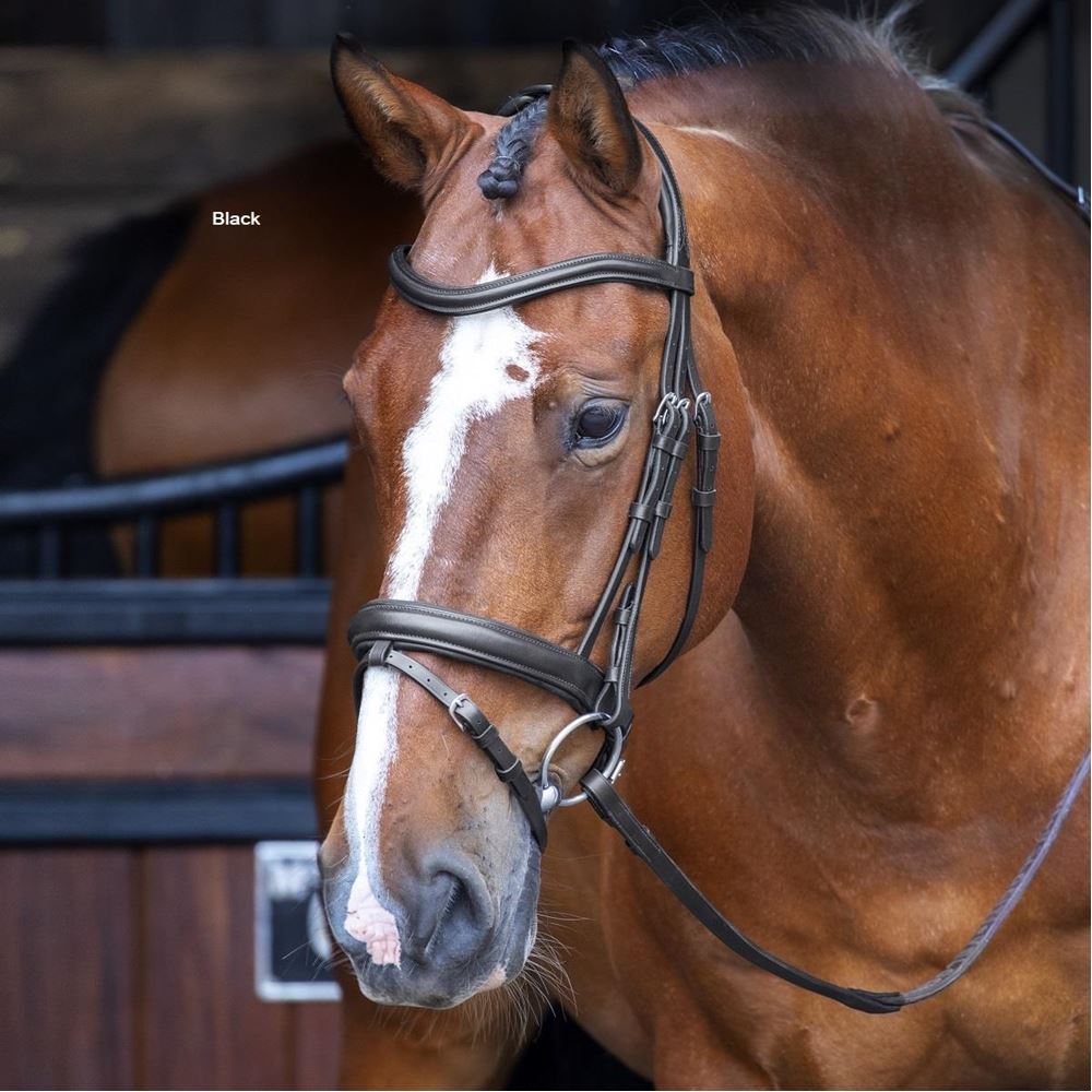 Shires Velociti RAPIDA Dressage Bridle with Flash