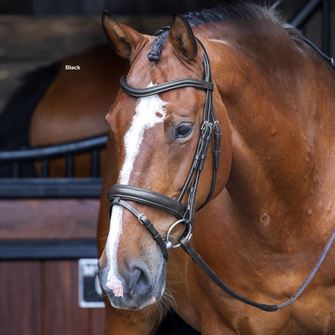 Shires Velociti RAPIDA Dressage Bridle with Flash