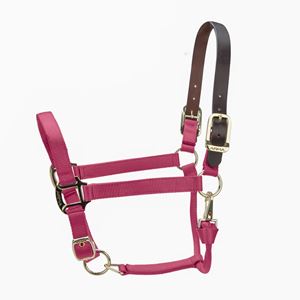 Shires ARMA Premium Adjustable FieldSafe Headcollar (Burgundy)