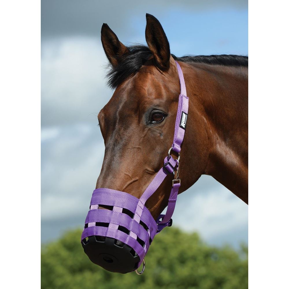 Roma Grazing Muzzle