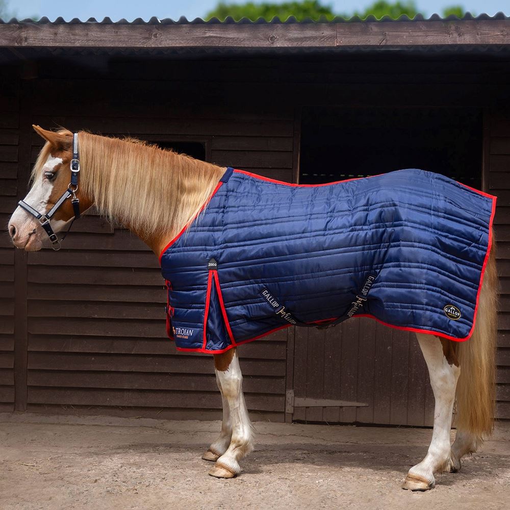 Gallop Trojan 200g Stable Rug (Navy/Red Bindings)
