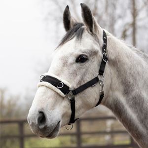 Hy Equestrian Fleece Lined Lunge Cavesson