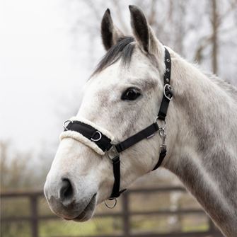 Hy Equestrian Fleece Lined Lunge Cavesson