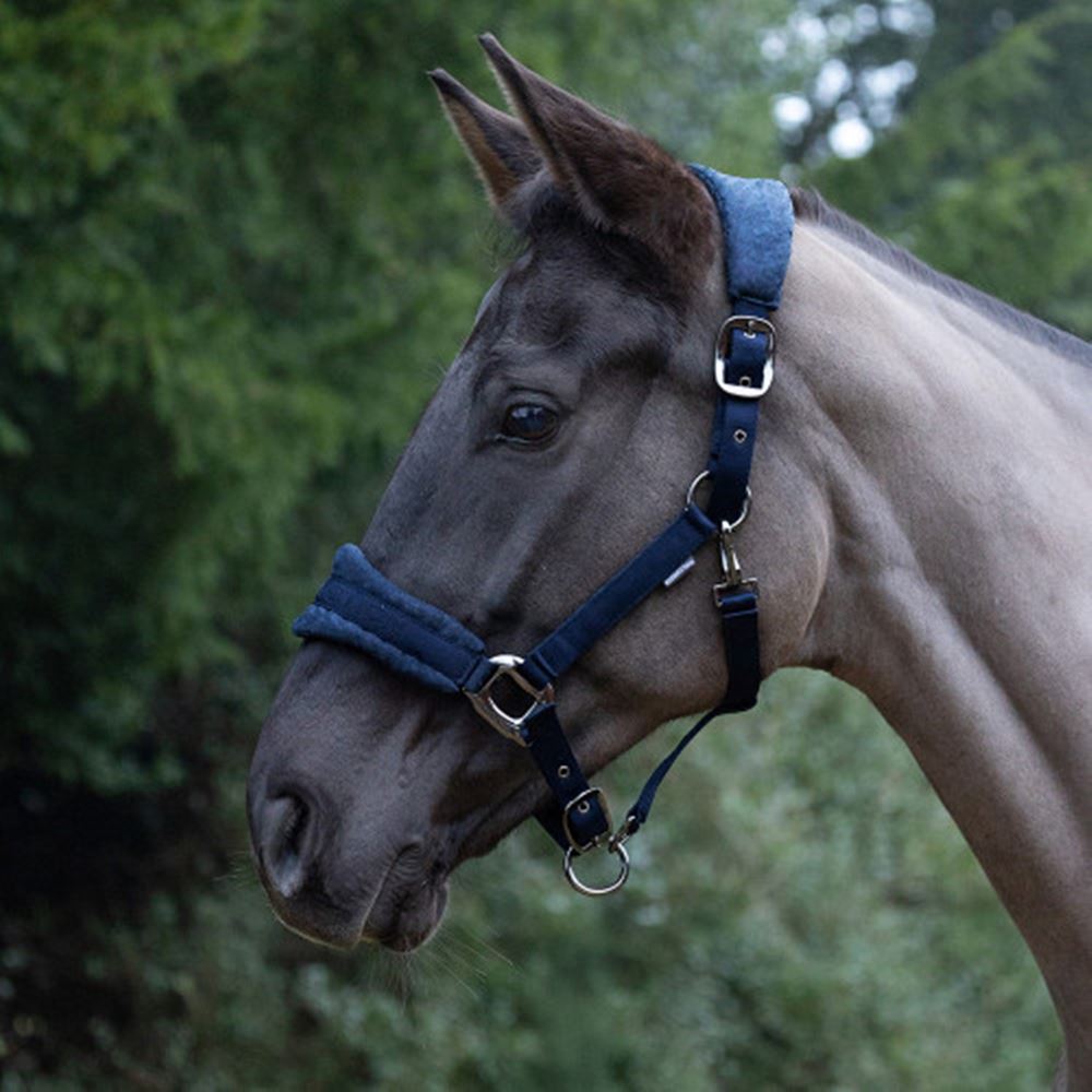 ProReaction Dura Fleece Head Collar by Hy Equestrian (Navy)