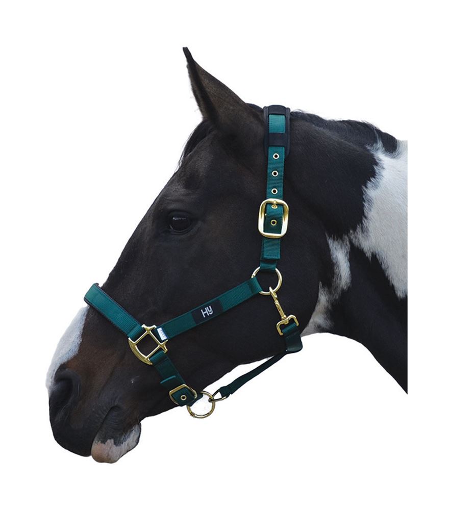 Hy Deluxe Padded Head Collar