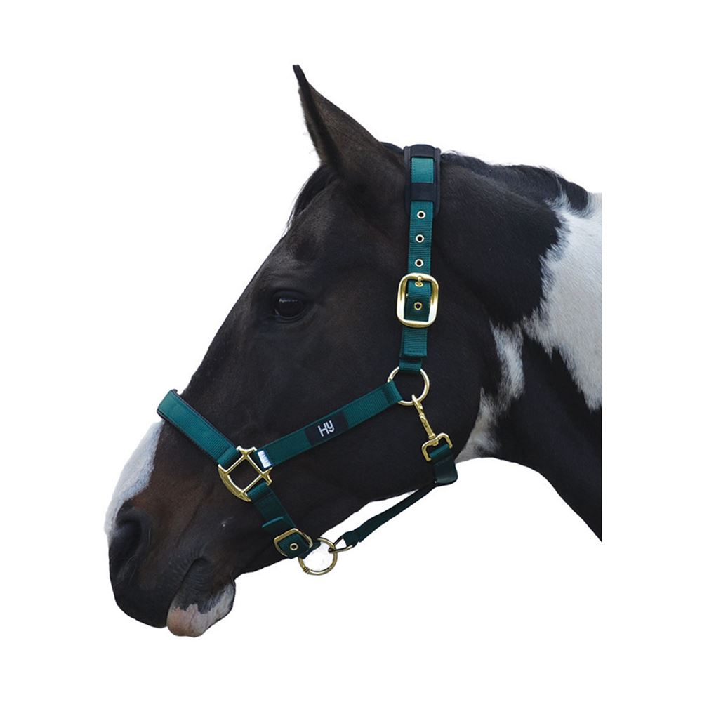 Hy Deluxe Padded Head Collar