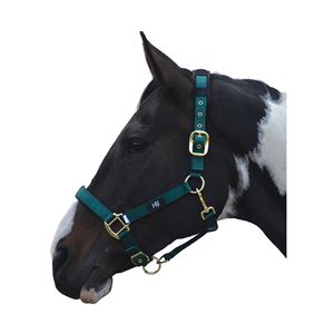 Hy Deluxe Padded Head Collar