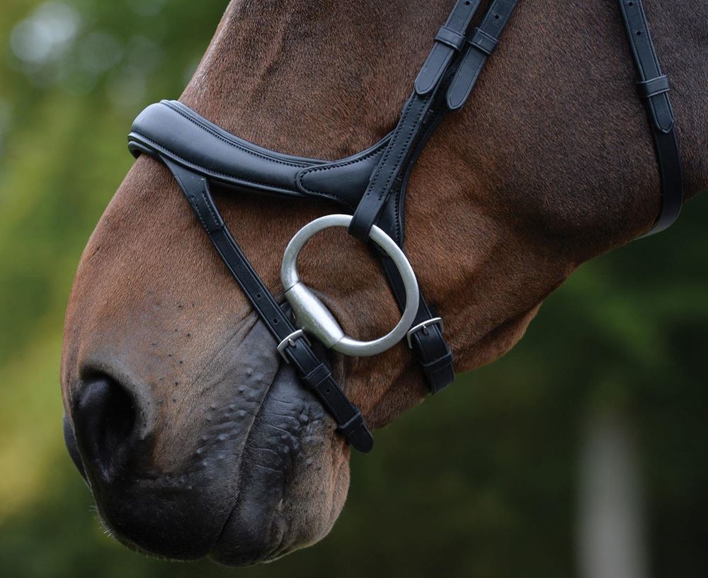 Collegiate Comfitec Vogue Anatomical Bridle