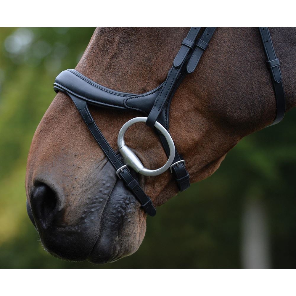 Collegiate Comfitec Vogue Anatomical Bridle