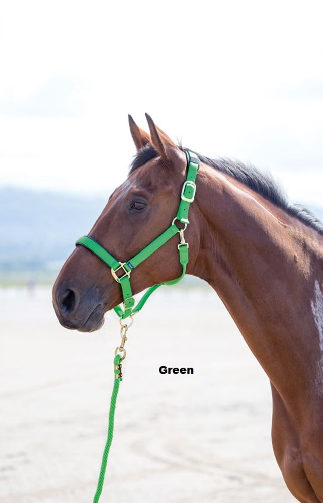 Shires Topaz Nylon Headcollar