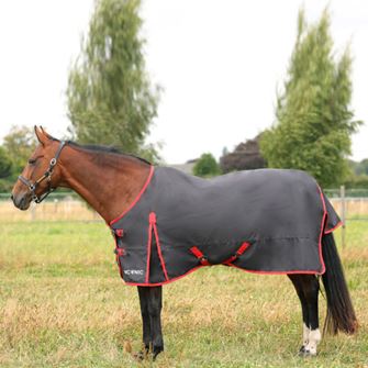 HyCONIC by Hy Equestrian 0g Turnout Rug (Charcoal/Red)